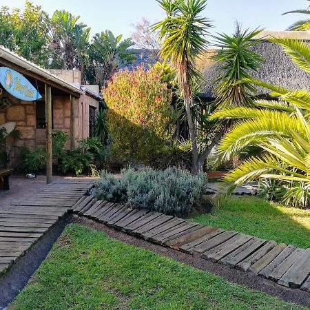Saltycrax Backpackers And Surf Hostel By Curiocity Bloubergstrand Exterior foto
