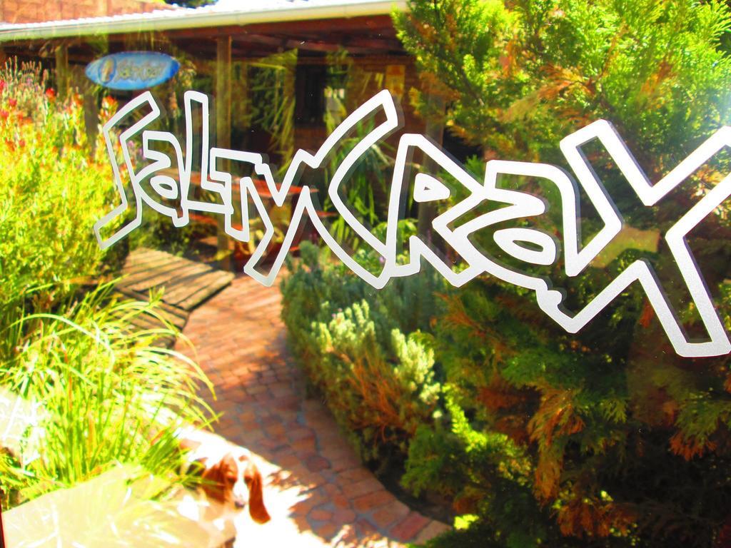 Saltycrax Backpackers And Surf Hostel By Curiocity Bloubergstrand Exterior foto