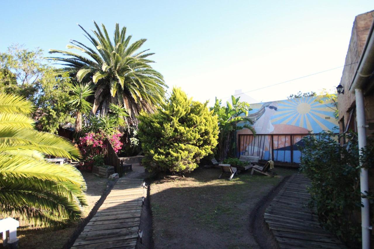 Saltycrax Backpackers And Surf Hostel By Curiocity Bloubergstrand Exterior foto